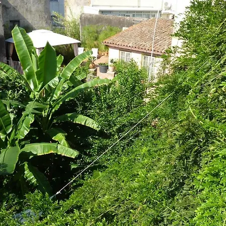 Casetta Rosa Tra I Papiri Acireale